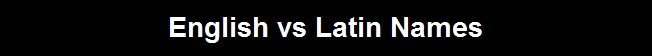 English vs Latin Names