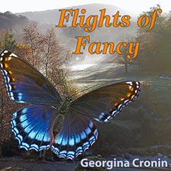 Cover of "Flights of Fancy"