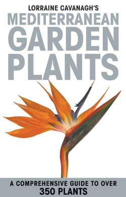 Cover "Mediterranean Garden Plants"