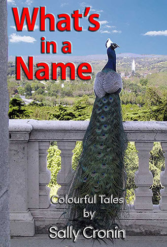 What's in a Name? - Cover